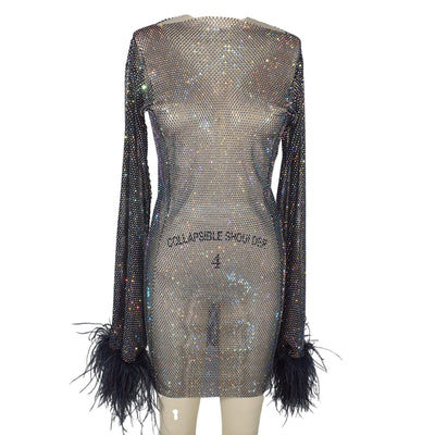Santa Brands Embellished Black Feathers Mini Dress