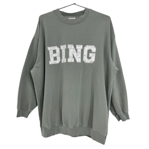 Anine Bing Oversized Teal Tyler Sweatshirt Size L