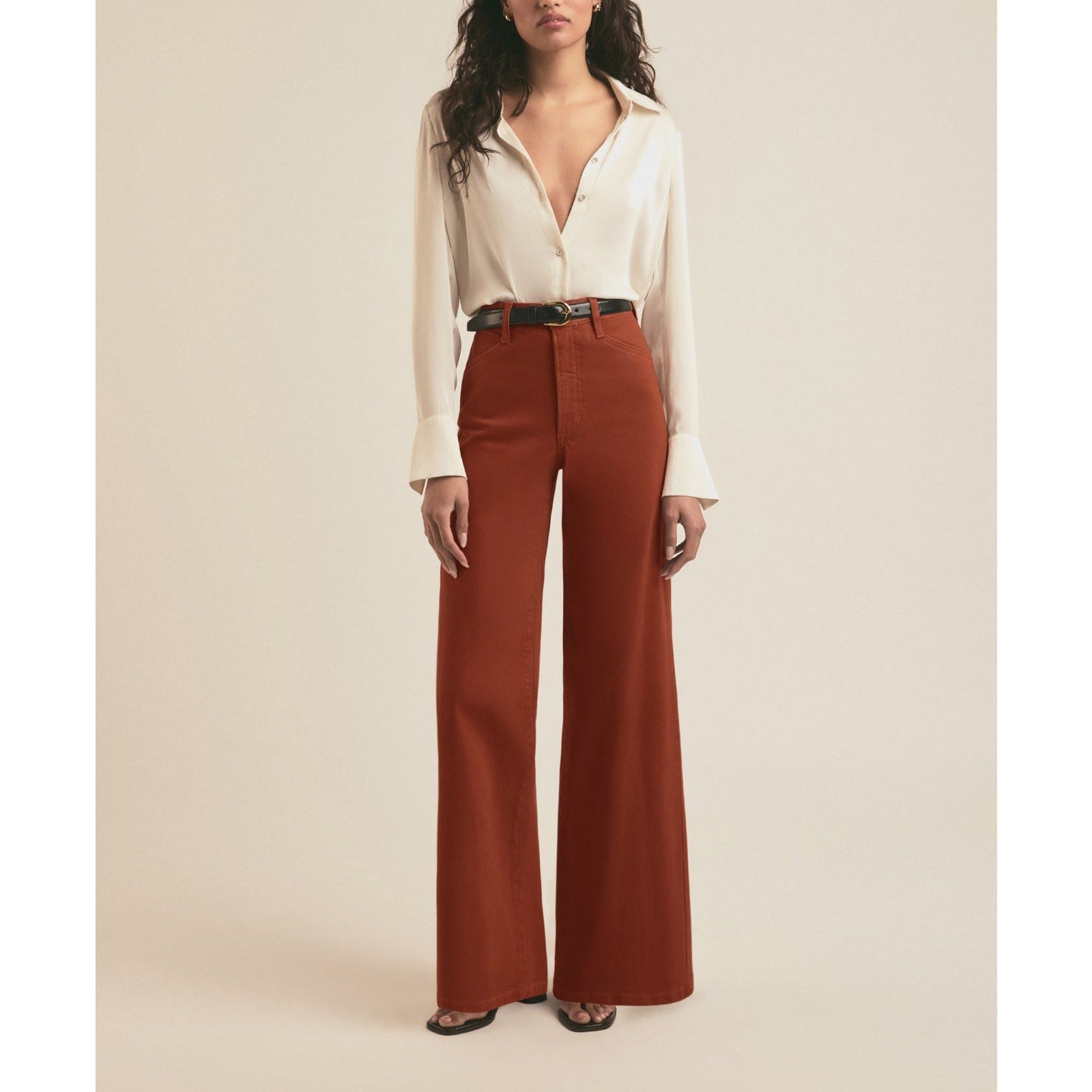 Favorite Daughter Brown The Coated 'Mischa' Wide Leg Pant Size 31