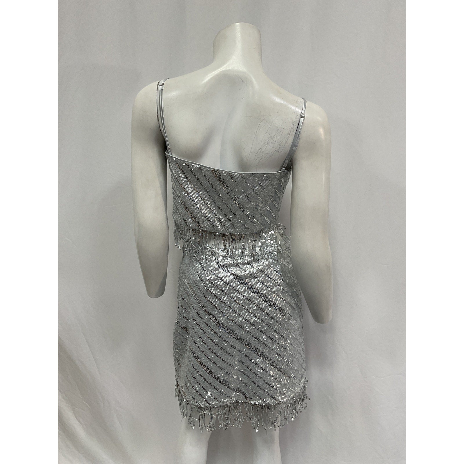 Saylor 'Persephone' Silver Polyester Top & Mini Skirt Set Size S