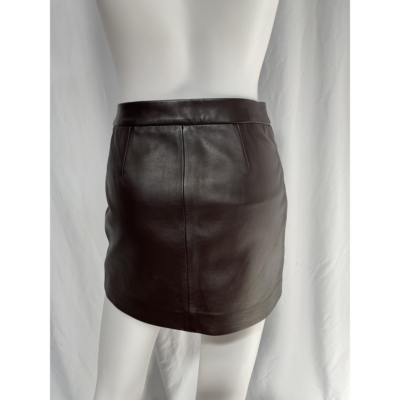 Frame Leather Mini Brown Skirt Size XXS