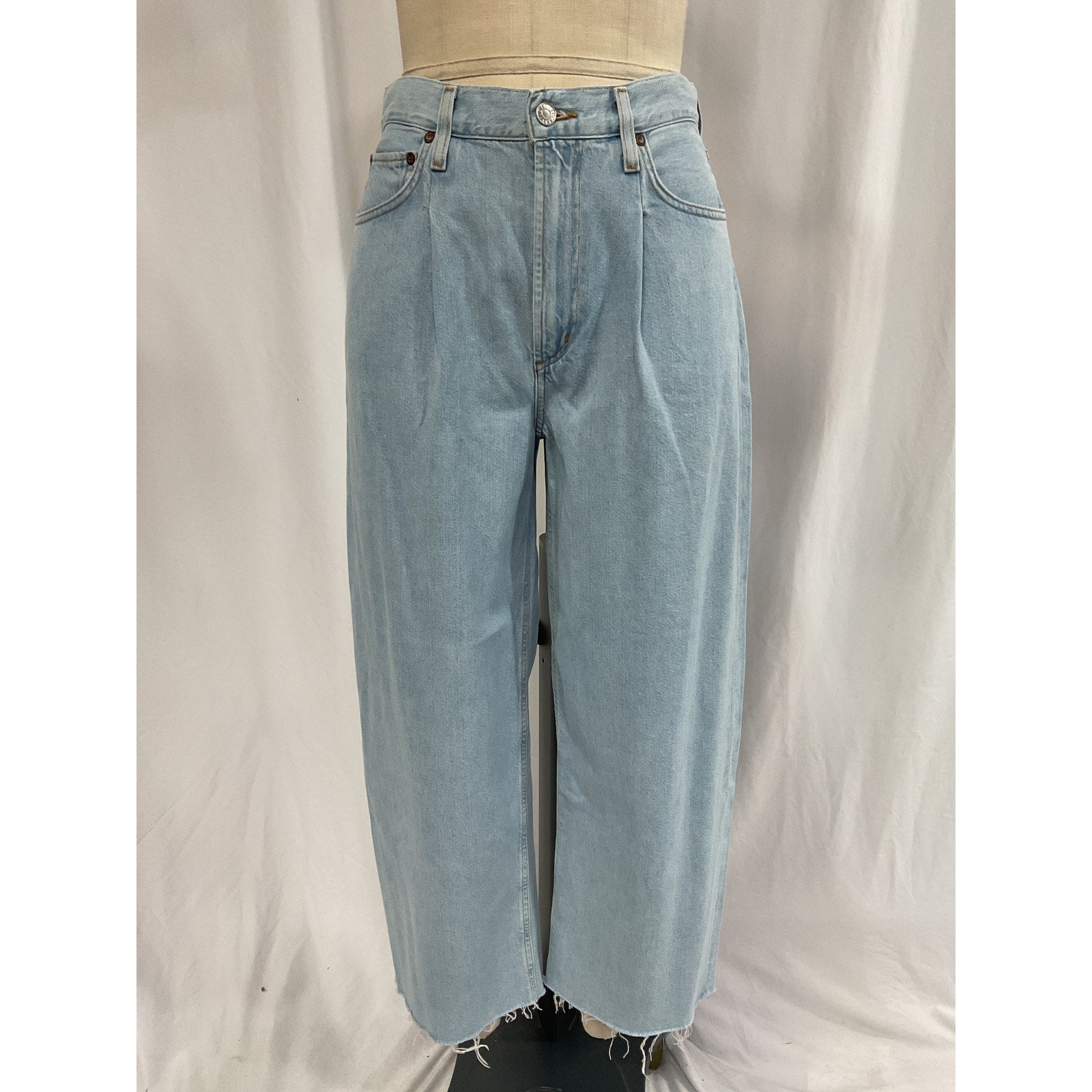 Agolde 'Dagna' Blue High Rise Pleat Baggy Denim Jean Size 26 - NWT