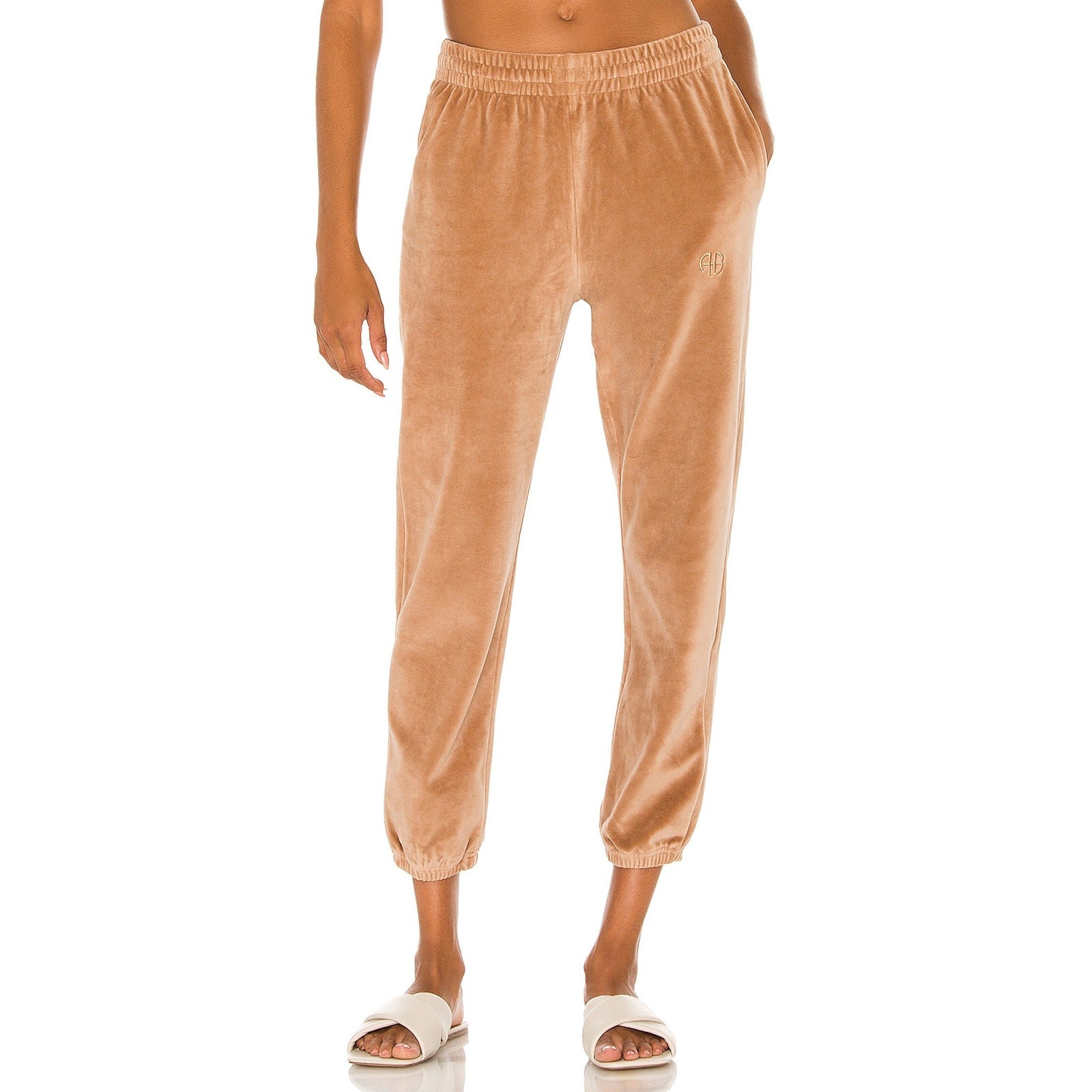 Anine Bing Sport Beige 'Evan' Velour Jogger Size M - NWT