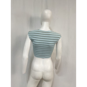 Alexis Striped Powder Blue Emille Crop Top Size S