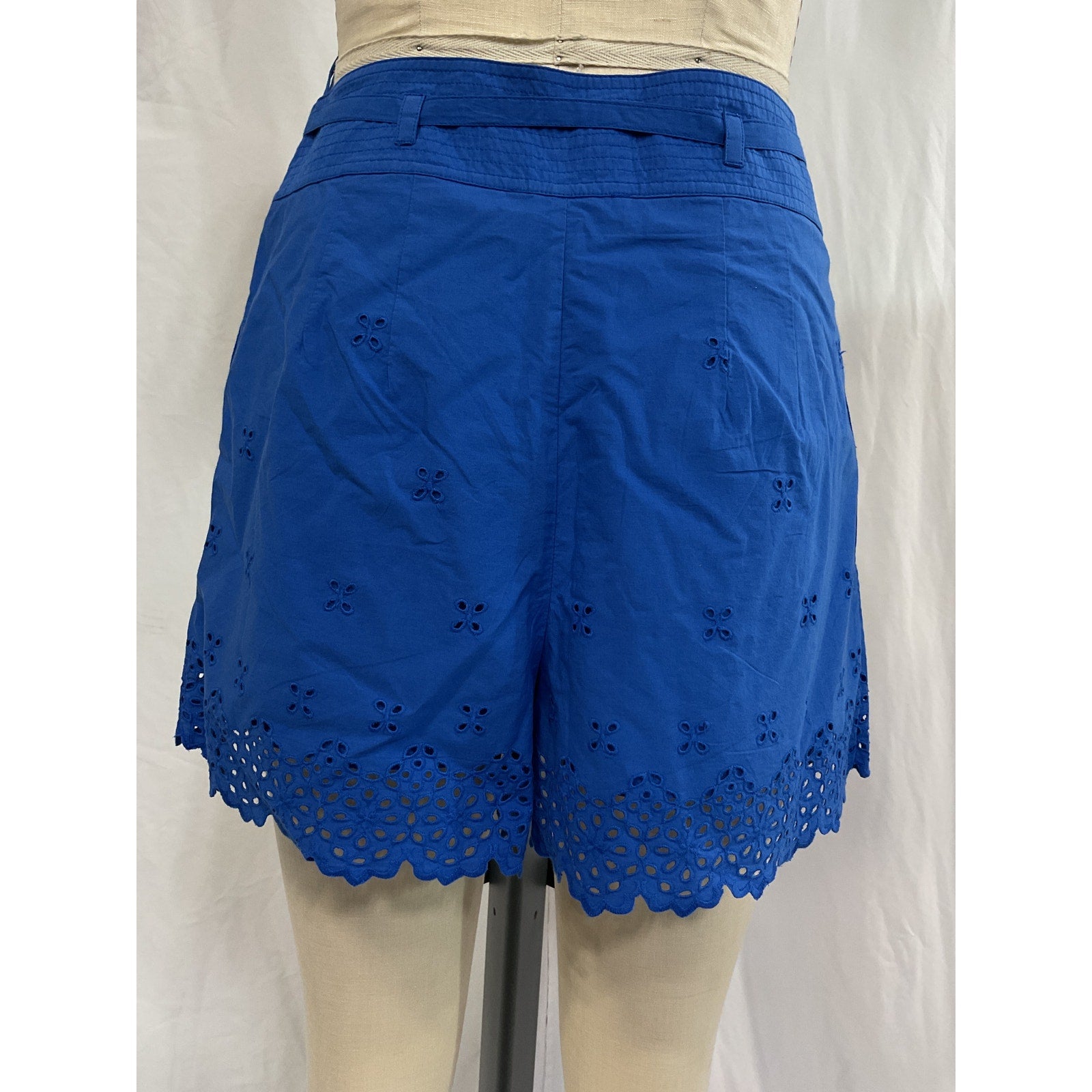 Ulla Johnson 'Sabine' Blue Poplin Short Size 4 - NWT