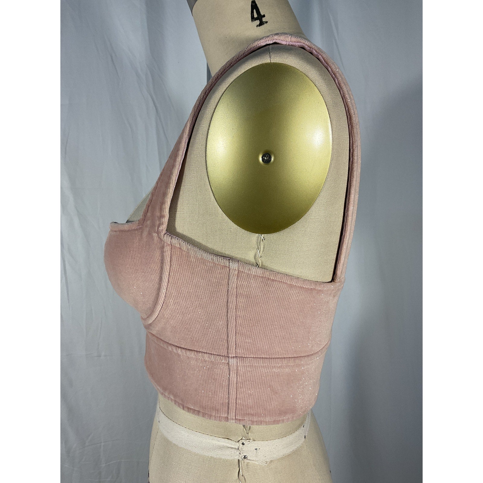 Alex Perry 'Cole' Pink Corduroy Glitter Finish Bustier Top Size 4