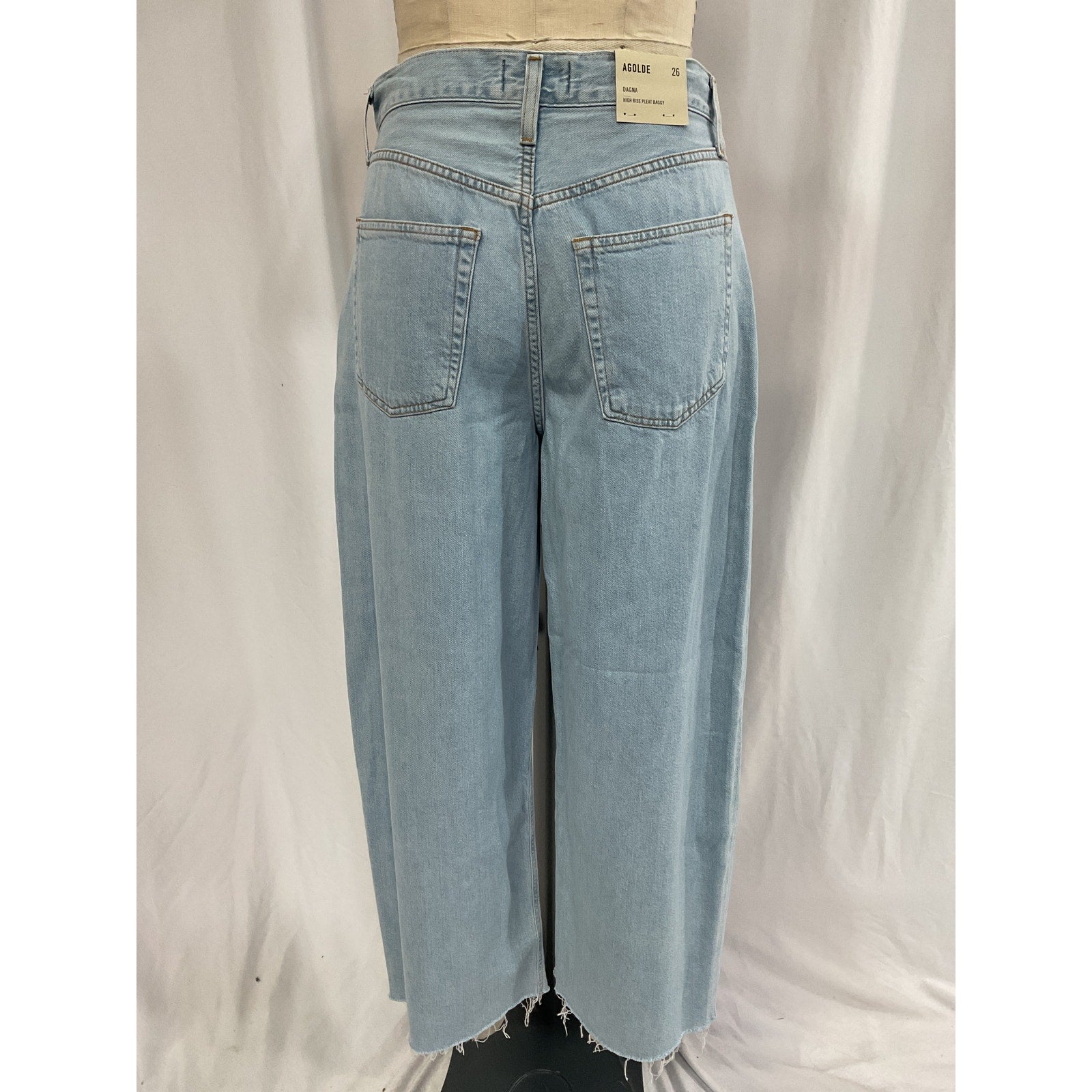 Agolde 'Dagna' Blue High Rise Pleat Baggy Denim Jean Size 26 - NWT
