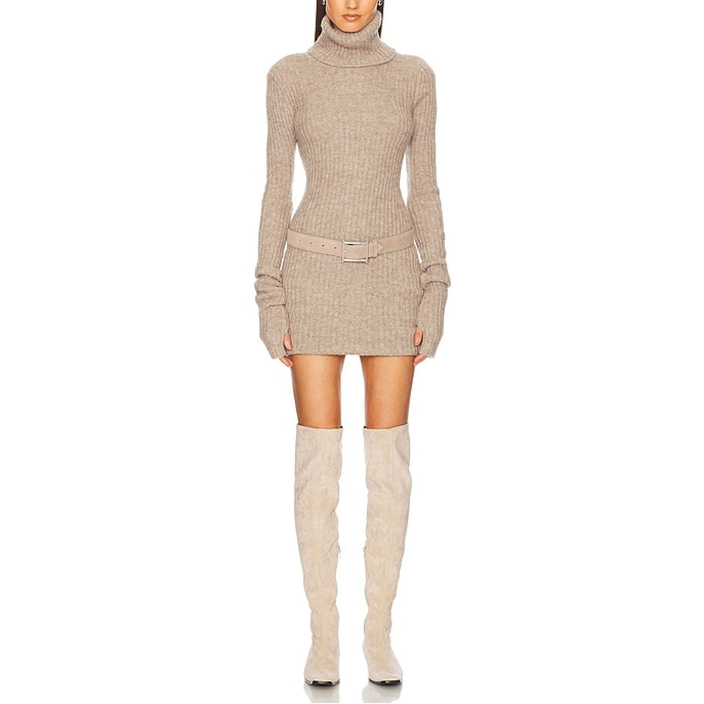 Helsa 'Lauren' Beige Mini Knit Turtleneck Dress Size S