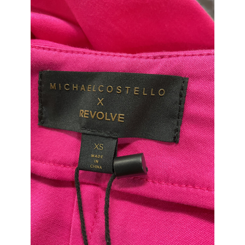 Michael Costello 'Zosia' Pink Maxi Skirt Size XS - NWT