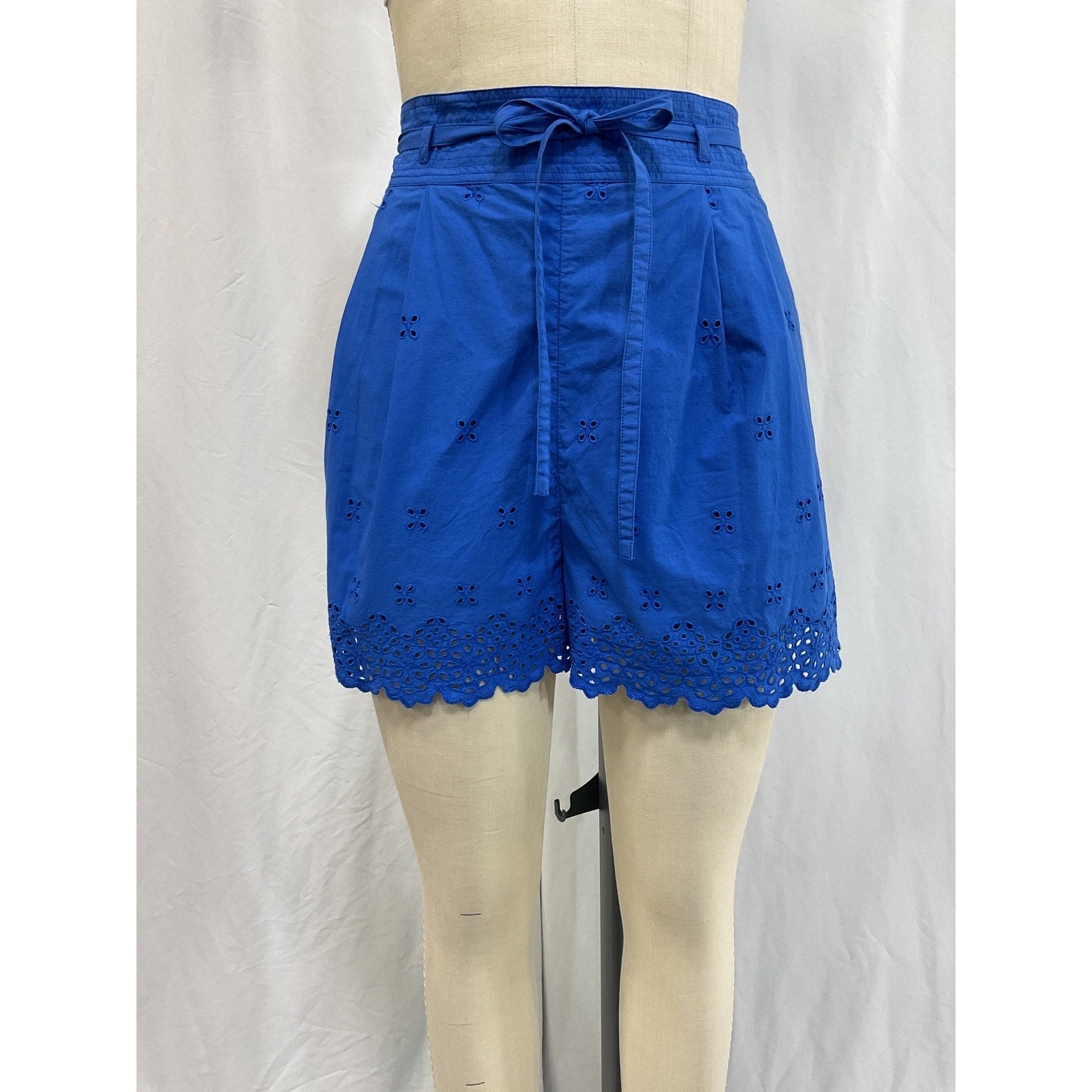 Ulla Johnson 'Sabine' Blue Shorts Size 12