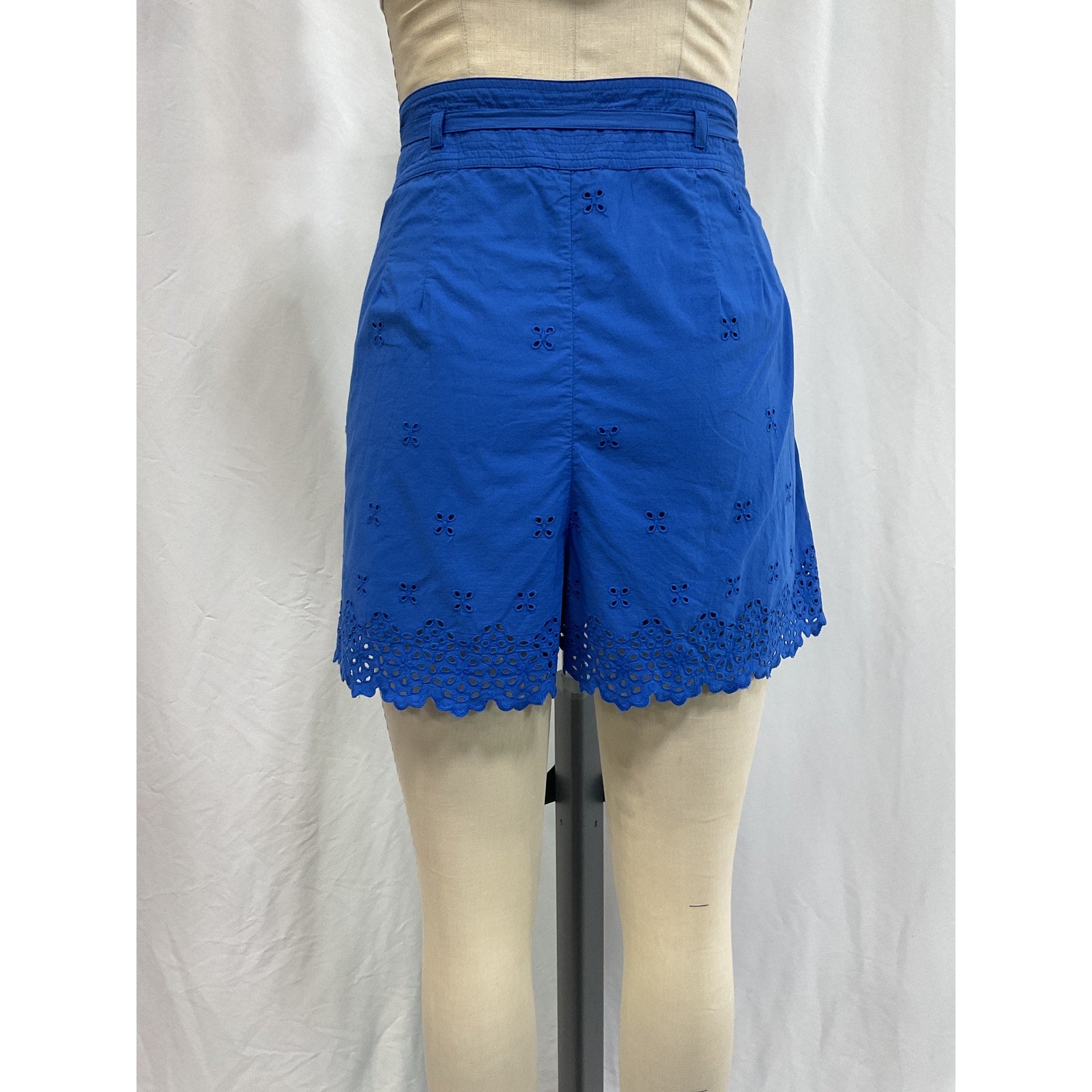 Ulla Johnson 'Sabine' Blue Shorts Size 12