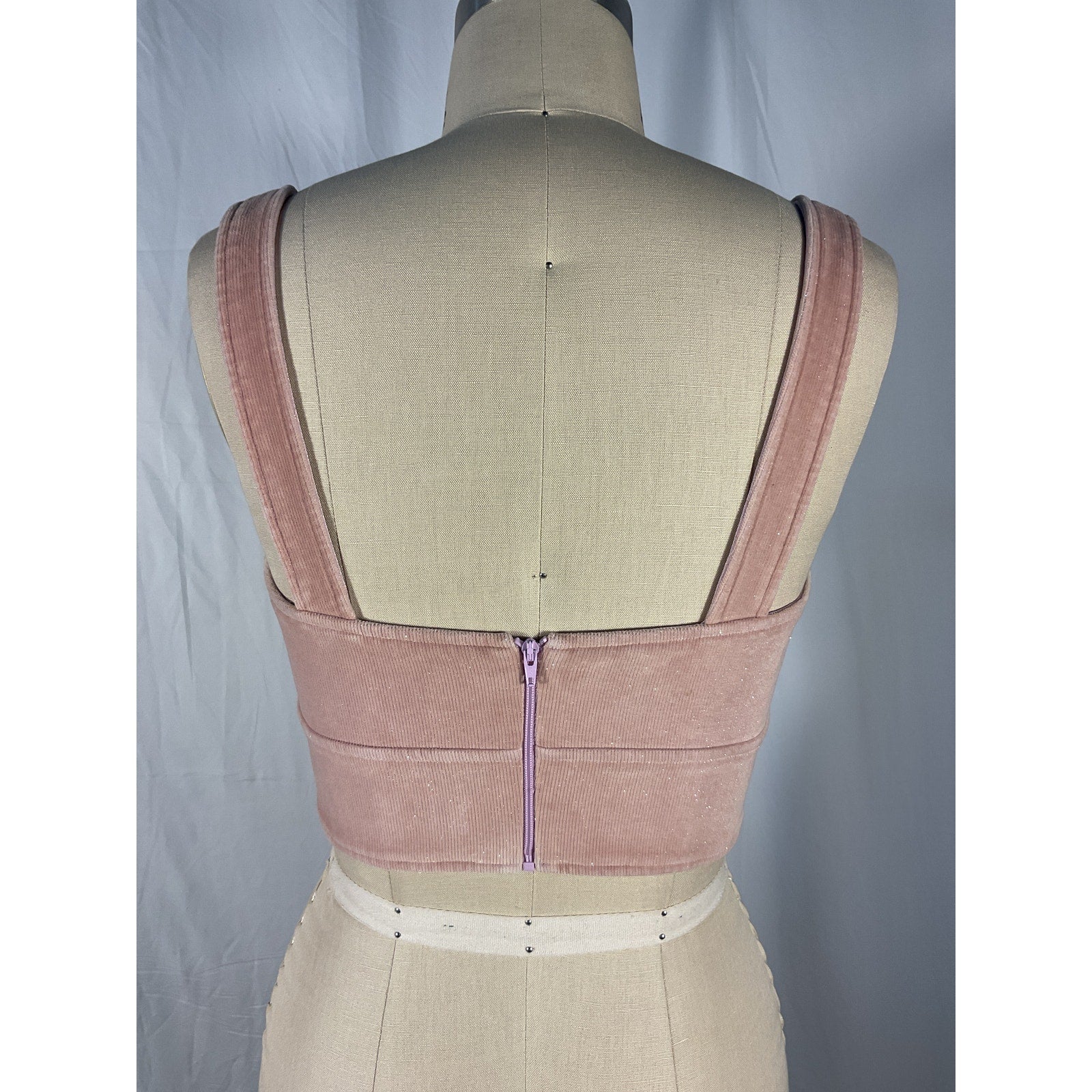 Alex Perry 'Cole' Pink Corduroy Glitter Finish Bustier Top Size 4