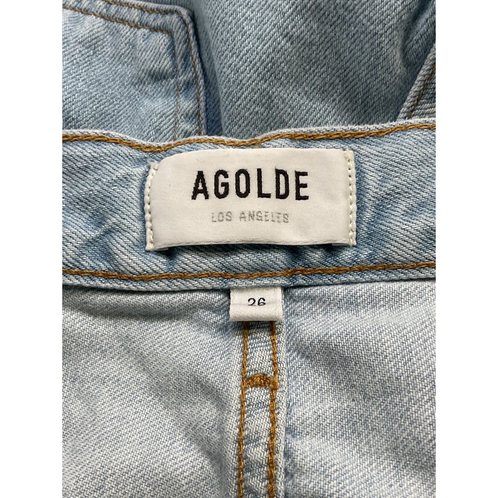 Agolde 'Dagna' Blue High Rise Pleat Baggy Denim Jean Size 26 - NWT