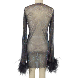 Santa Brands Embellished Black Feathers Mini Dress